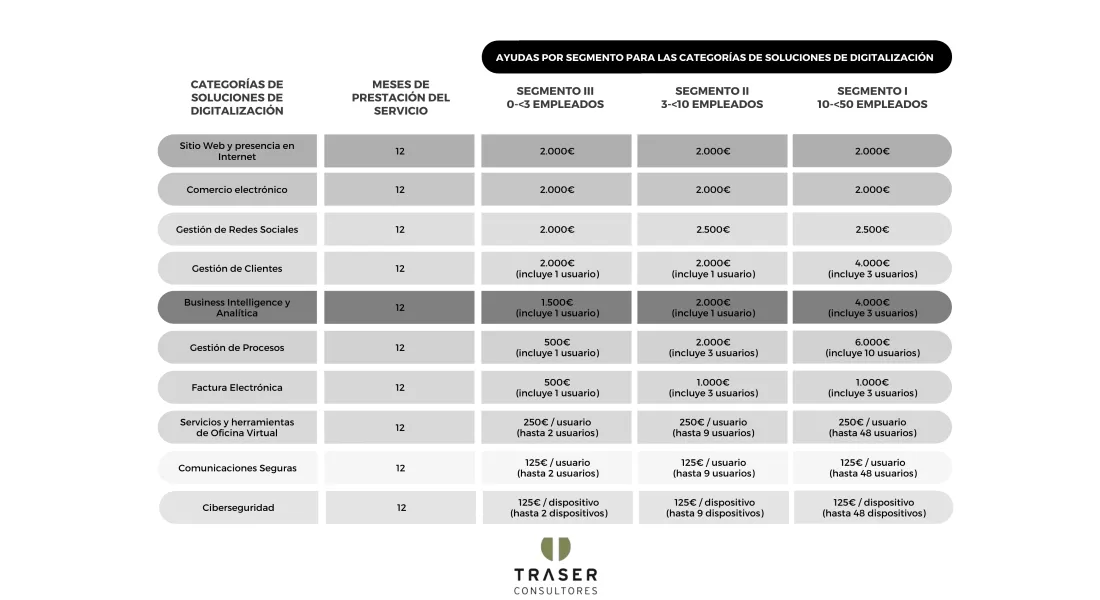 Traser Consultores